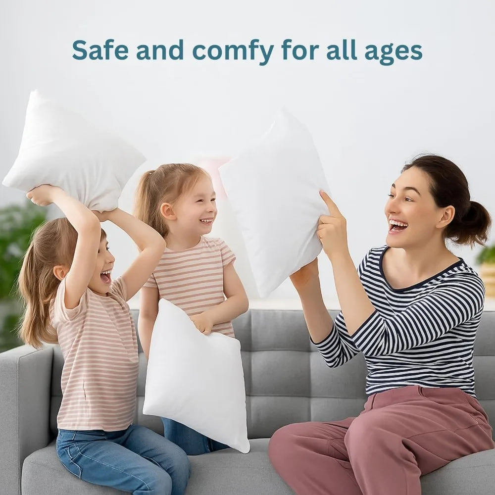 NBVCX Down Alternative Throw Pillow Inserts Pack of Two