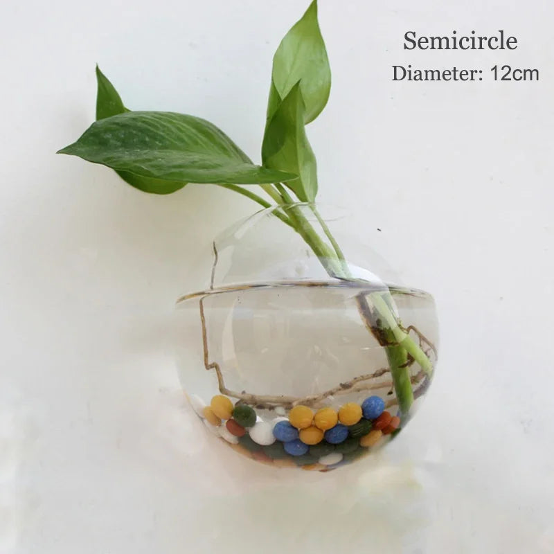 Semi-Circle Glass Wall Vase Planter Terrarium Hydroponic Hanging Decor