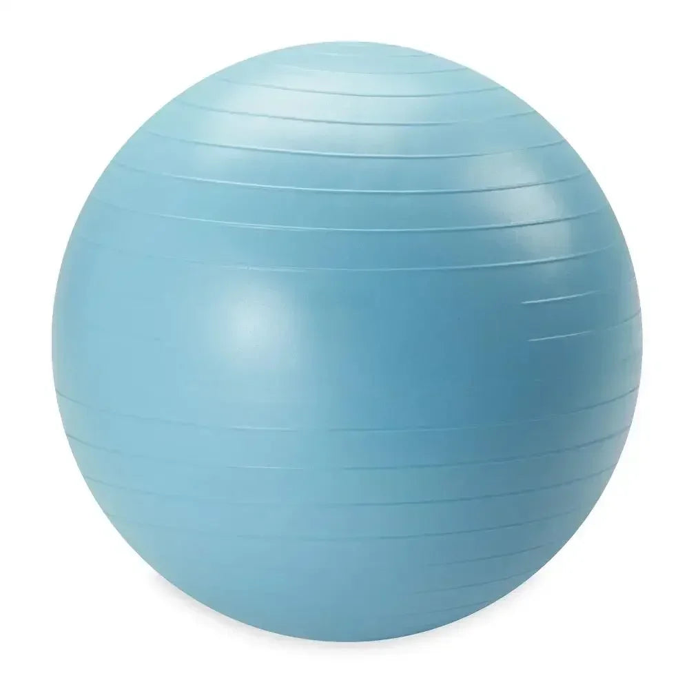 Reebok Weighted Fitness Ball With Pump For Core Strength And Balance