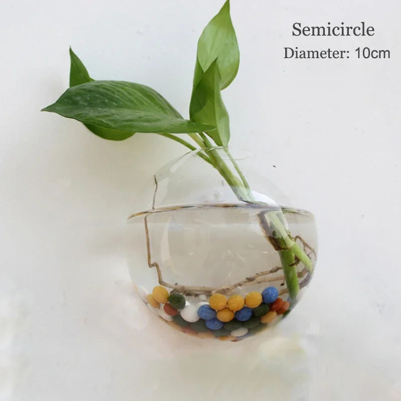Semi-Circle Glass Wall Vase Planter Terrarium Hydroponic Hanging Decor
