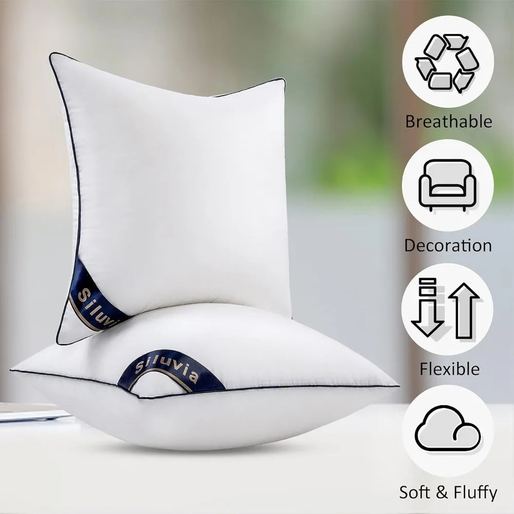 NBVCX Decorative Pillow Inserts Set Of Two For Sofa