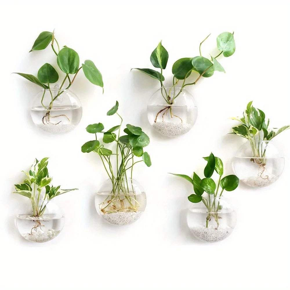 Semi-Circle Glass Wall Vase Planter Terrarium Hydroponic Hanging Decor