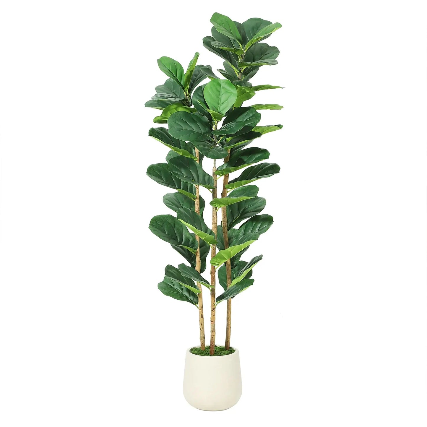 Artificial Fiddle Leaf Fig Tree With White Planter For Home Decor