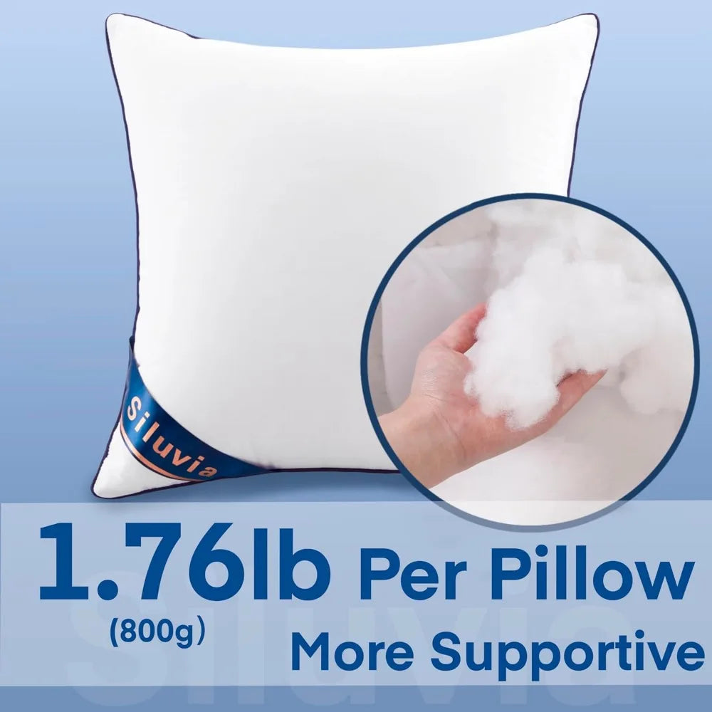 NBVCX Decorative Pillow Inserts Set Of Two For Sofa