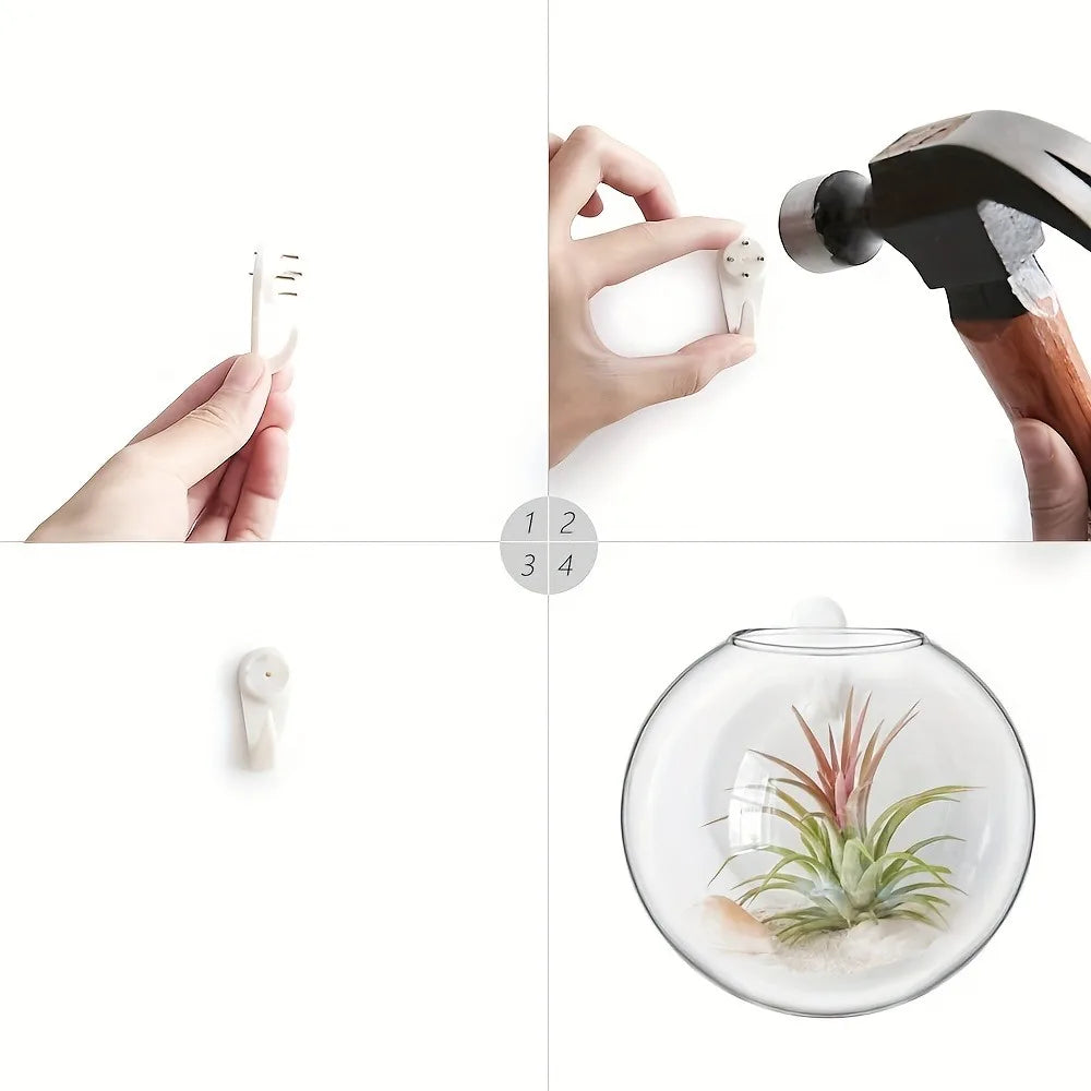 Semi-Circle Glass Wall Vase Planter Terrarium Hydroponic Hanging Decor