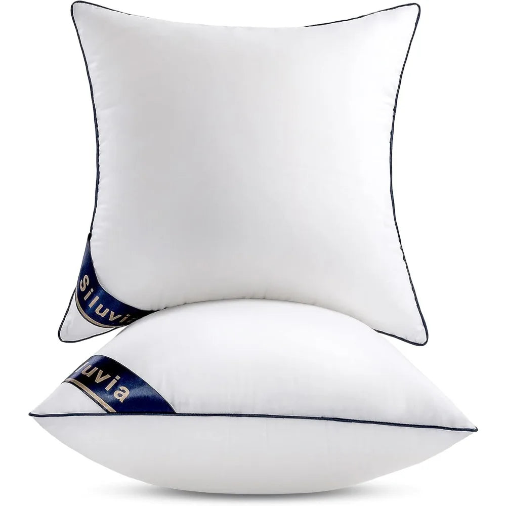 NBVCX Decorative Pillow Inserts Set Of Two For Sofa