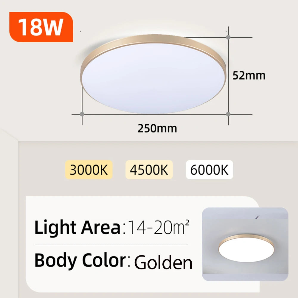 Chenben LED Ceiling Light Fixture for Kitchen and Bathroom