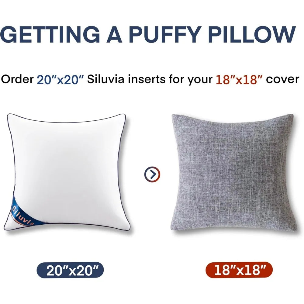 NBVCX Decorative Pillow Inserts Set Of Two For Sofa