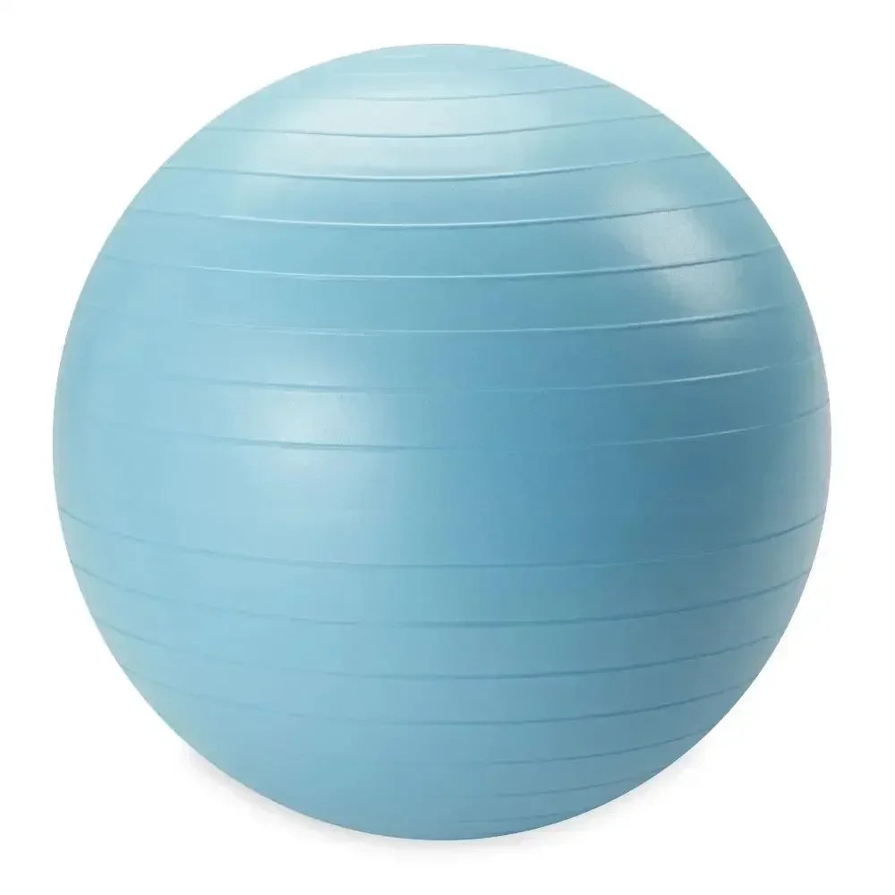 Reebok Weighted Fitness Ball With Pump For Core Strength And Balance